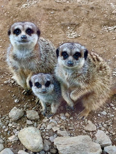 Tropical Zoo Gallery - France