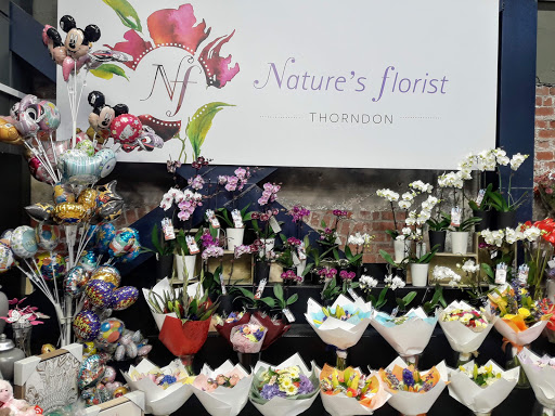 Natures Florist Thorndon - Thumbnail