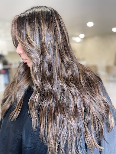 Modish Salon - Thumbnail