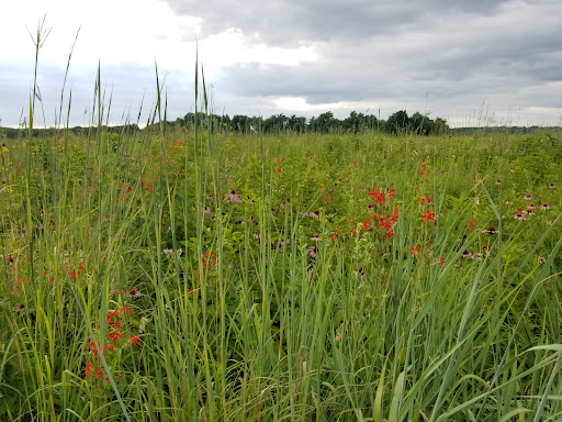 Huffman Prairie State Natural Landmark - Thumbnail
