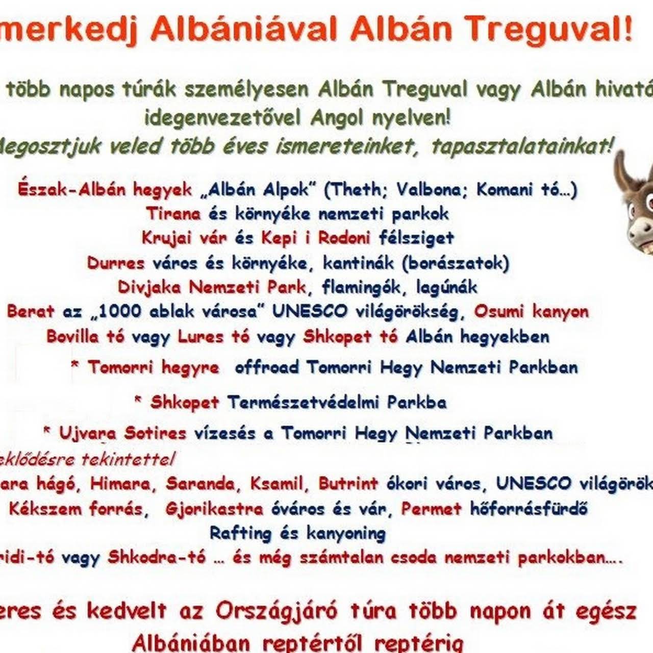 találkozó albán nő