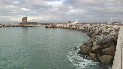 Molo Sud Marina di Pisa - Thumbnail