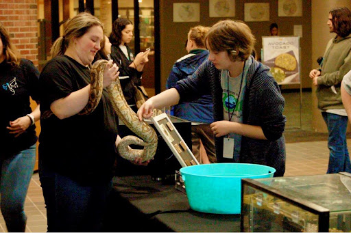 Her-petology Reptile Shows - Thumbnail