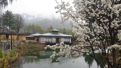 Photos of Kichu Resort Paro