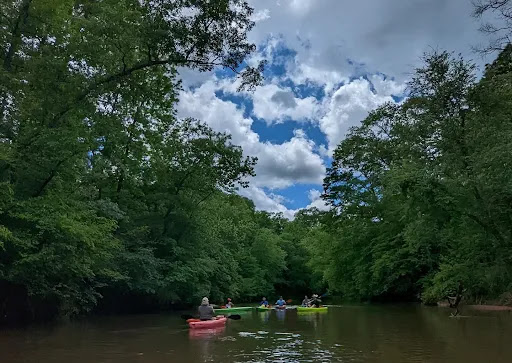 South Fork Kayaking and River Cabin Gallery - United States
