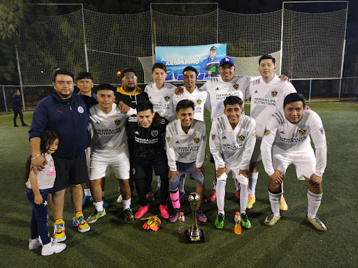 Futbol 7 Oceania - Thumbnail