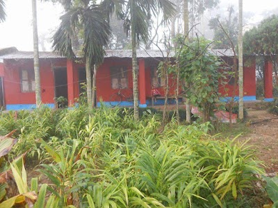 Photos of Sauraha Homestay(Nepal)