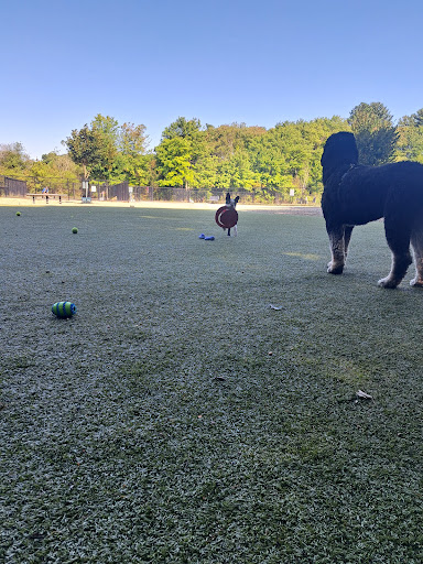 Burlington Dog Park at Rahanis Park - Thumbnail