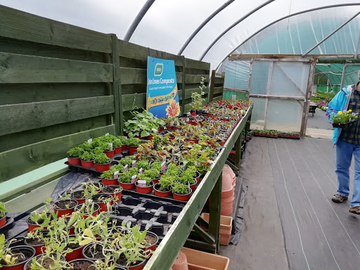 Ullapool Nurseries - Visual