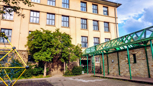 Domschule - Visual