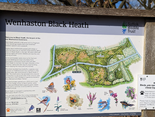 Wenhaston Black Heath - Thumbnail