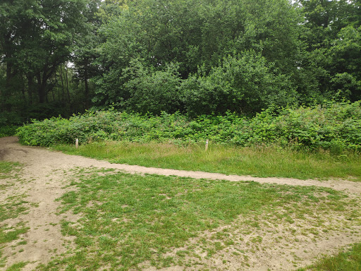 MTB Route Lunteren (startpunt) - Thumbnail