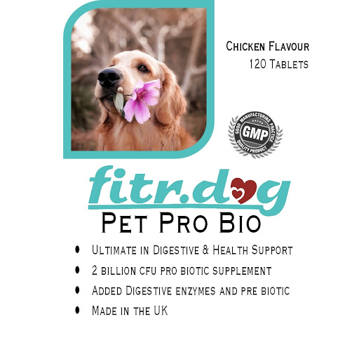 fitr.dog - Visual