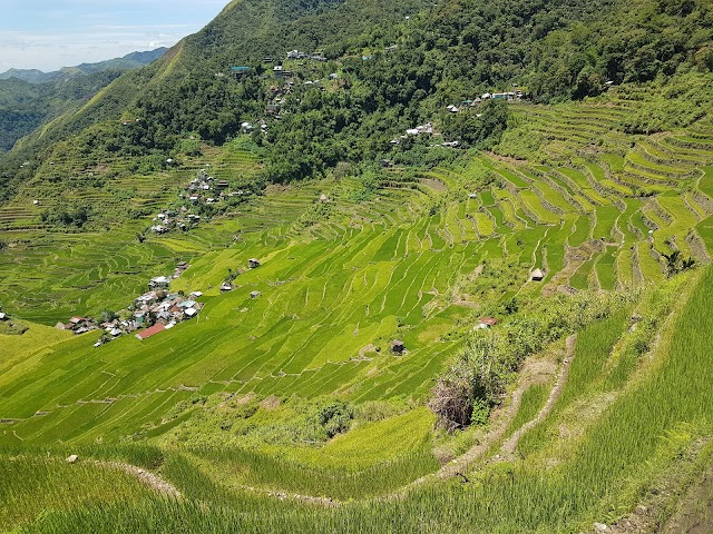 Batad Rice Terraces