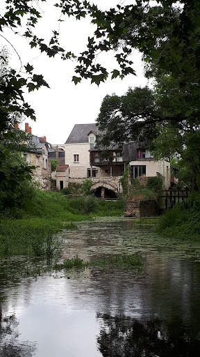 Photo de Heurus : Résidence Services Multigénérationnelle Epona - Saumur à Chacé (49400)