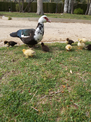 Parc Derramador - Thumbnail