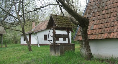 Photos of Ell&eacute;s monostor
