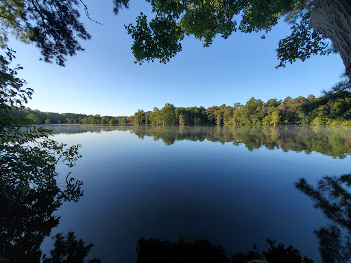 Trap Pond - Visual