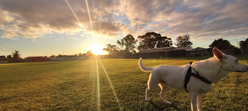 Port Pirie Golf Club Gallery - Australia
