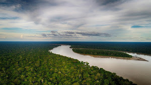 Tambopata Giant Otter Expeditions 2