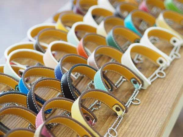 DogCatch ドッグキャッチ