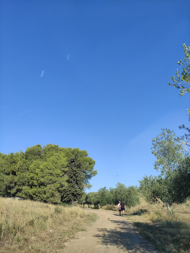 Bosco Comunale di Bitonto - Thumbnail