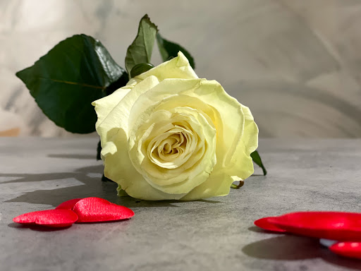 Easy Fleurs - Thumbnail