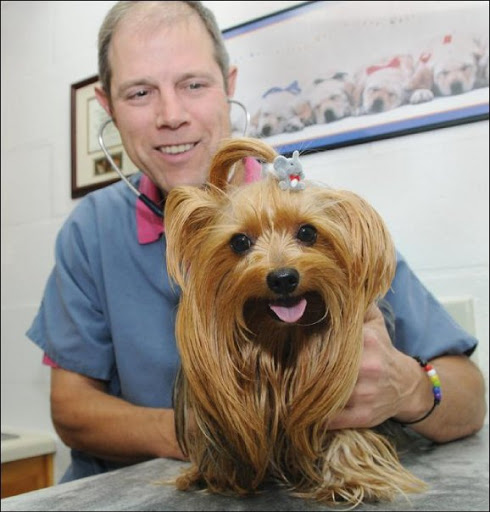 Dalton Animal Care (South) - Thumbnail