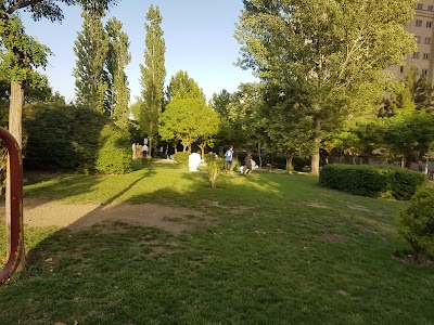 Photos of Tarbiat Park
