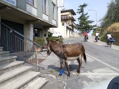 Ambulatorio Veterinario D.sa Francesca del Dottore