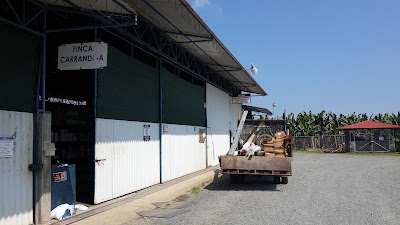 Photos of Fonda Carrandi A