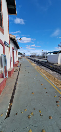 Estación de tren Cabra del Santo Cristo Y Alicun - Thumbnail