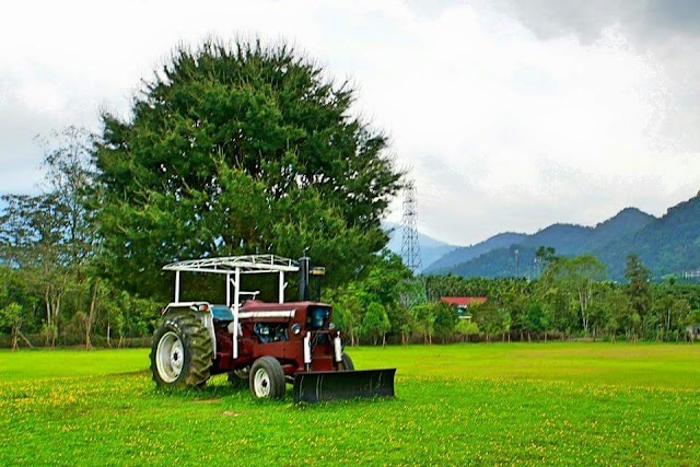 Taiwan Adventist College