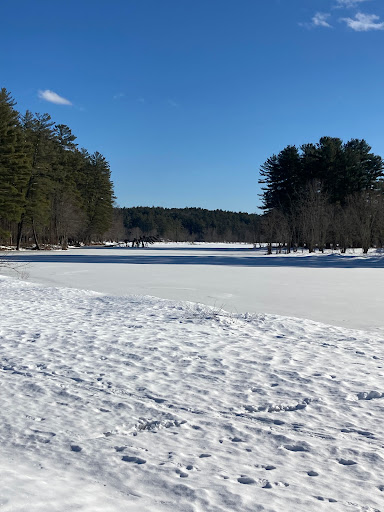 Elm Brook Park - Thumbnail