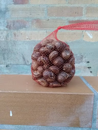 Photo n°20 de ferme de la noune à Brach (Maraîcher)