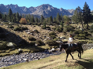 Photo n°4 de CENTRE DU SOULARAC à Roumengoux (Centre de randonnée équestre)