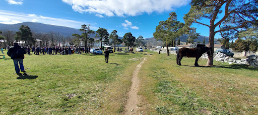 El Pinarillo Park - Thumbnail