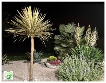 Photo de CREA SUD AMBIANCE