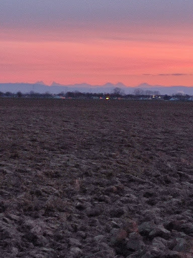 Battenheim - Visual