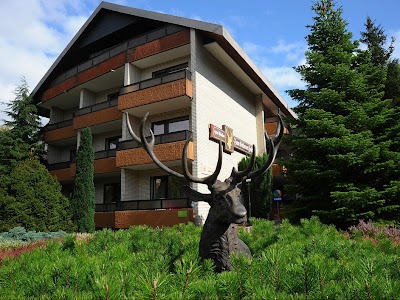 Photos of Kurhotel-Pension Zum goldenen Hirsch