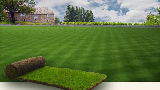 Metayer élagage abattage