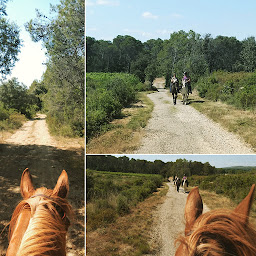 Photo n°3 de Rando Luce à Saint-Bauzille-de-Montmel (Pension pour chevaux)