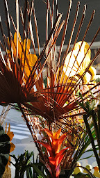 Photo n°13 de Jean De Fleurette à Cazaubon (Fleuriste)