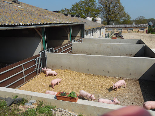 Photo 7 - La Touche Guillet - Ferme DUBOURG - Mayenne (53)