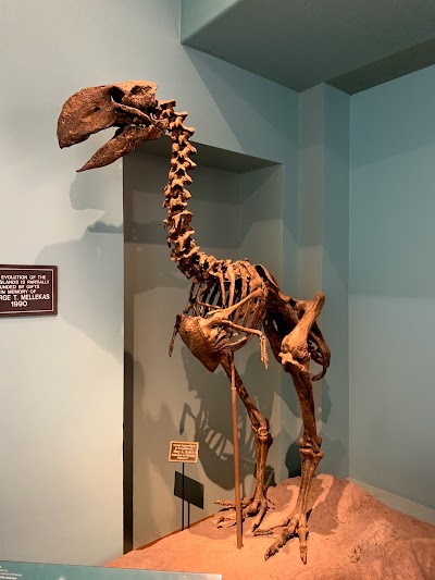 New Mexico Museum of Natural History and Science