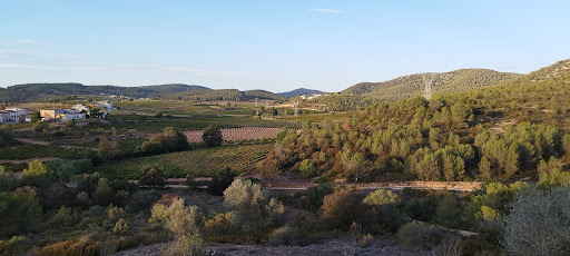 Mirador de Cantallops