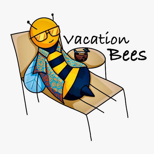 Vacation Bees - Visual