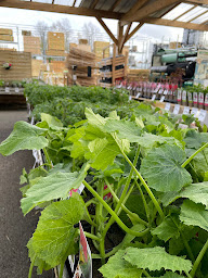 Photo n°4 de Bricomarché La Loupe à La Loupe (Magasin de poêles à bois)