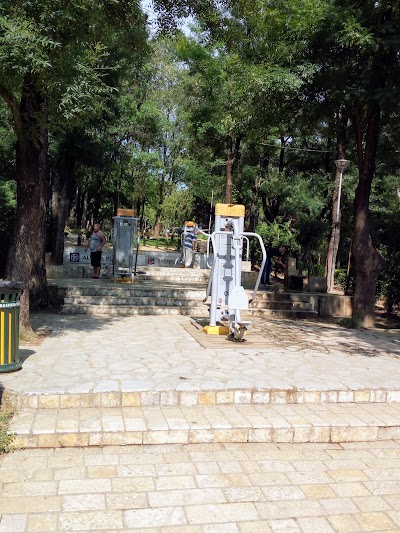 Open Air Public Gym