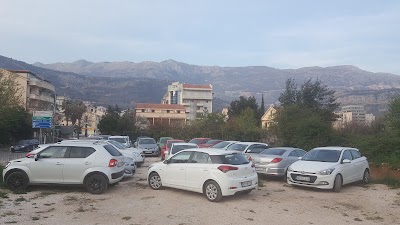 car-rental